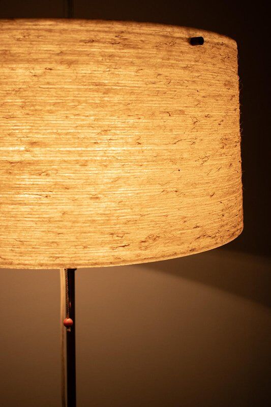 Modernist Floor Lamp