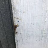 Old interior door