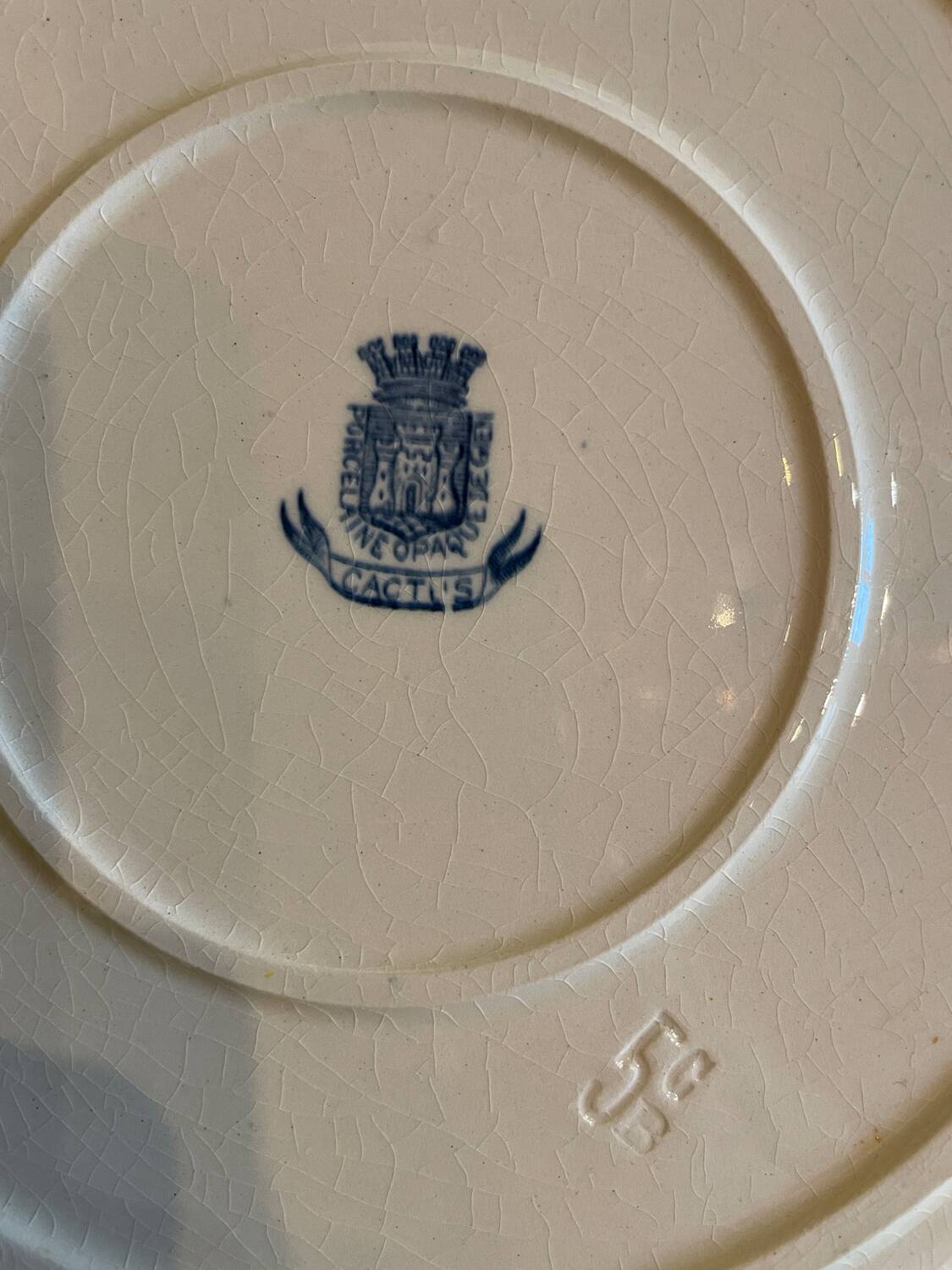 Large Terre de Fer “Cactus” Gien dish