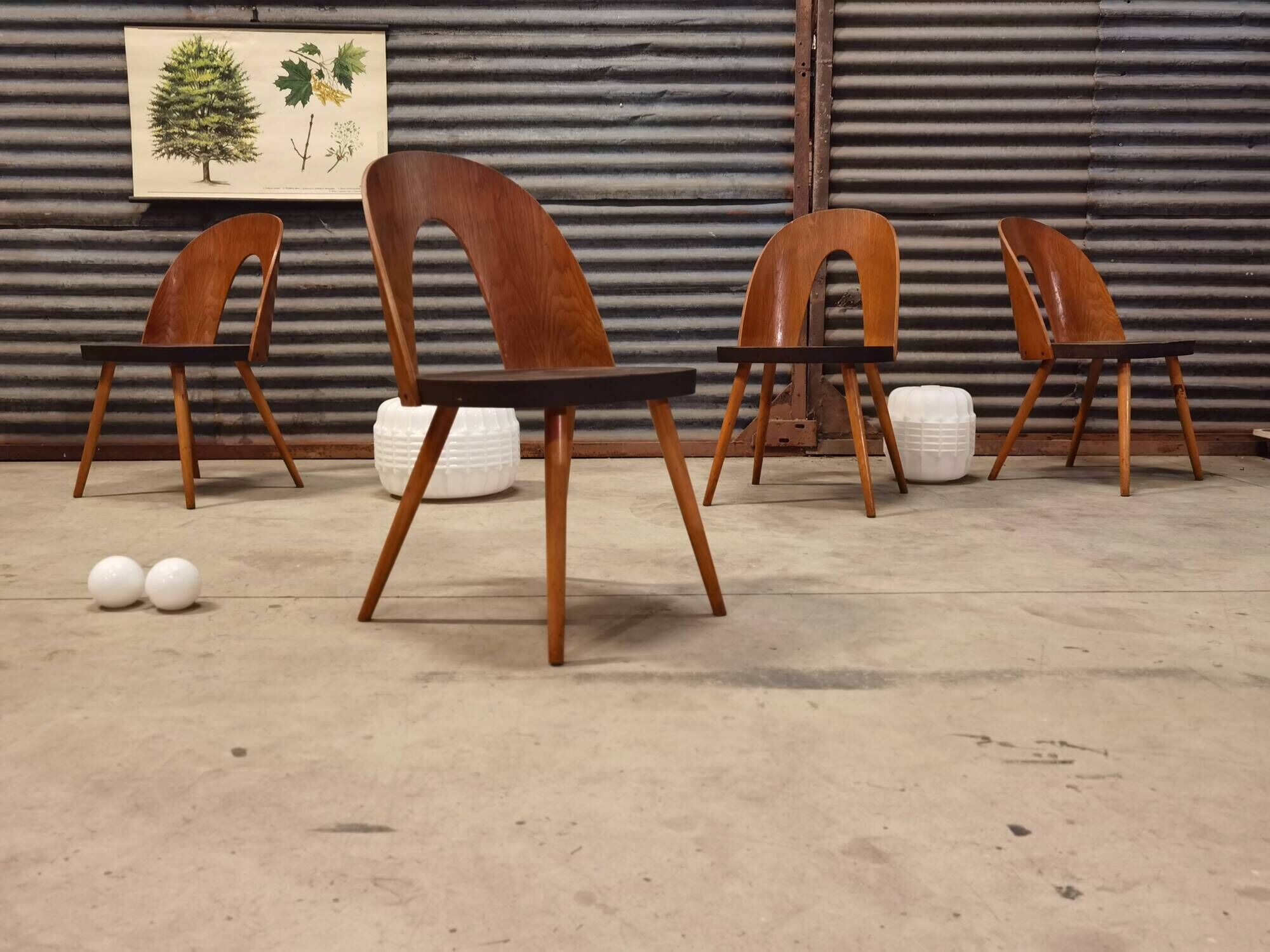 Set of 4 Antonin Suman chairs for Tatra Nabytok 1960