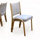 Set of 6 chairs Steiner Bow wood vintage 1950