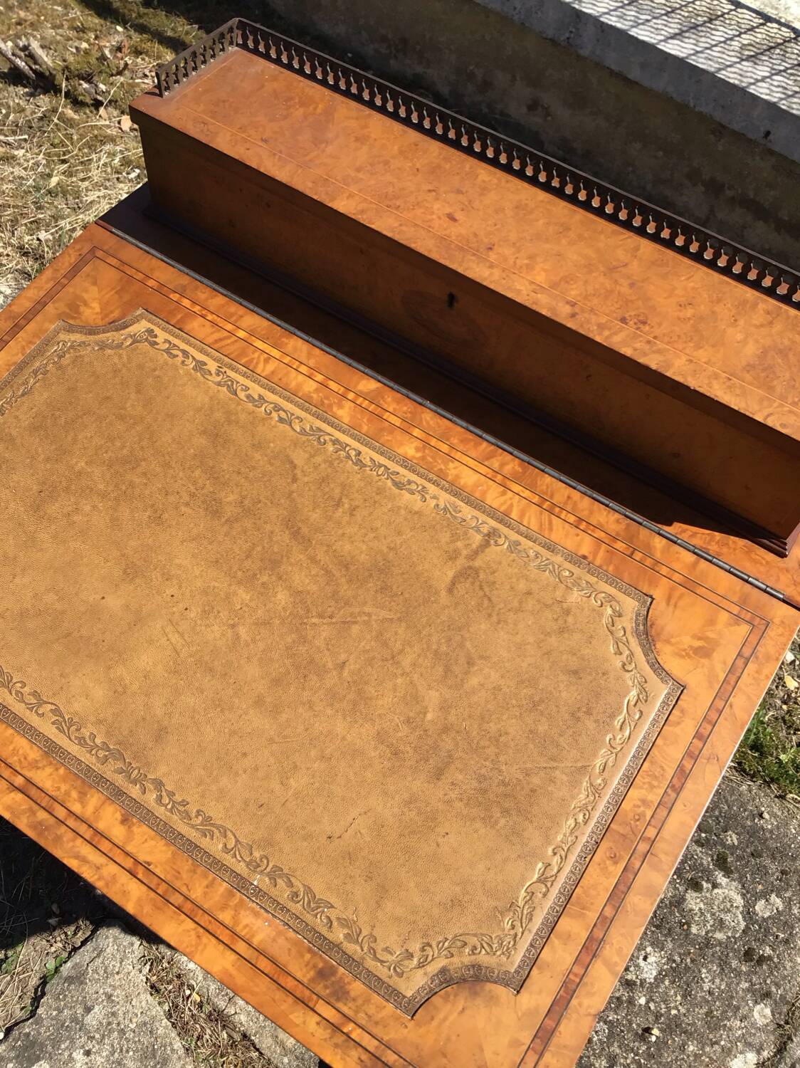 Davenport writing desk in fruitwood and burl veneer