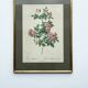 Floral illustration