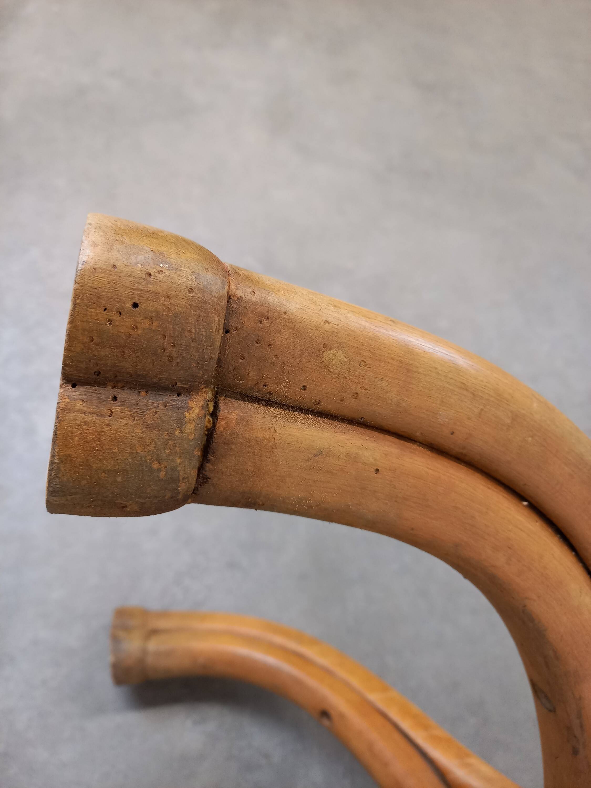 Thonet parrot coat rack