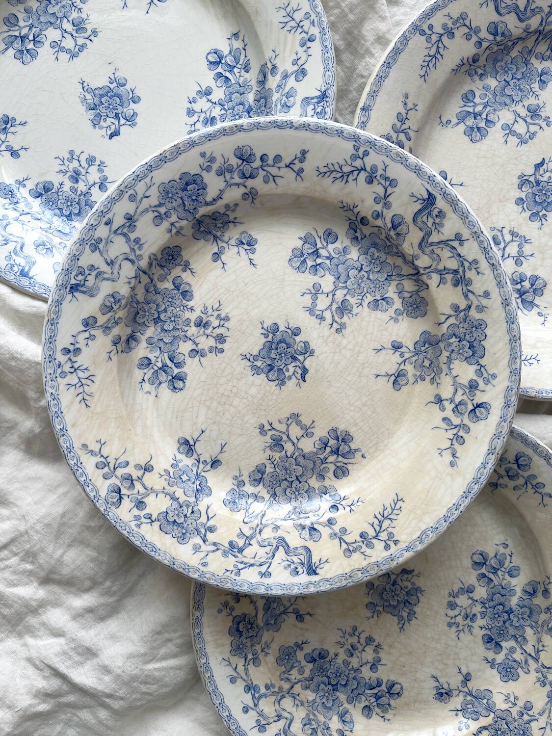 8 flat ironstone plates “Fleurette” Gien