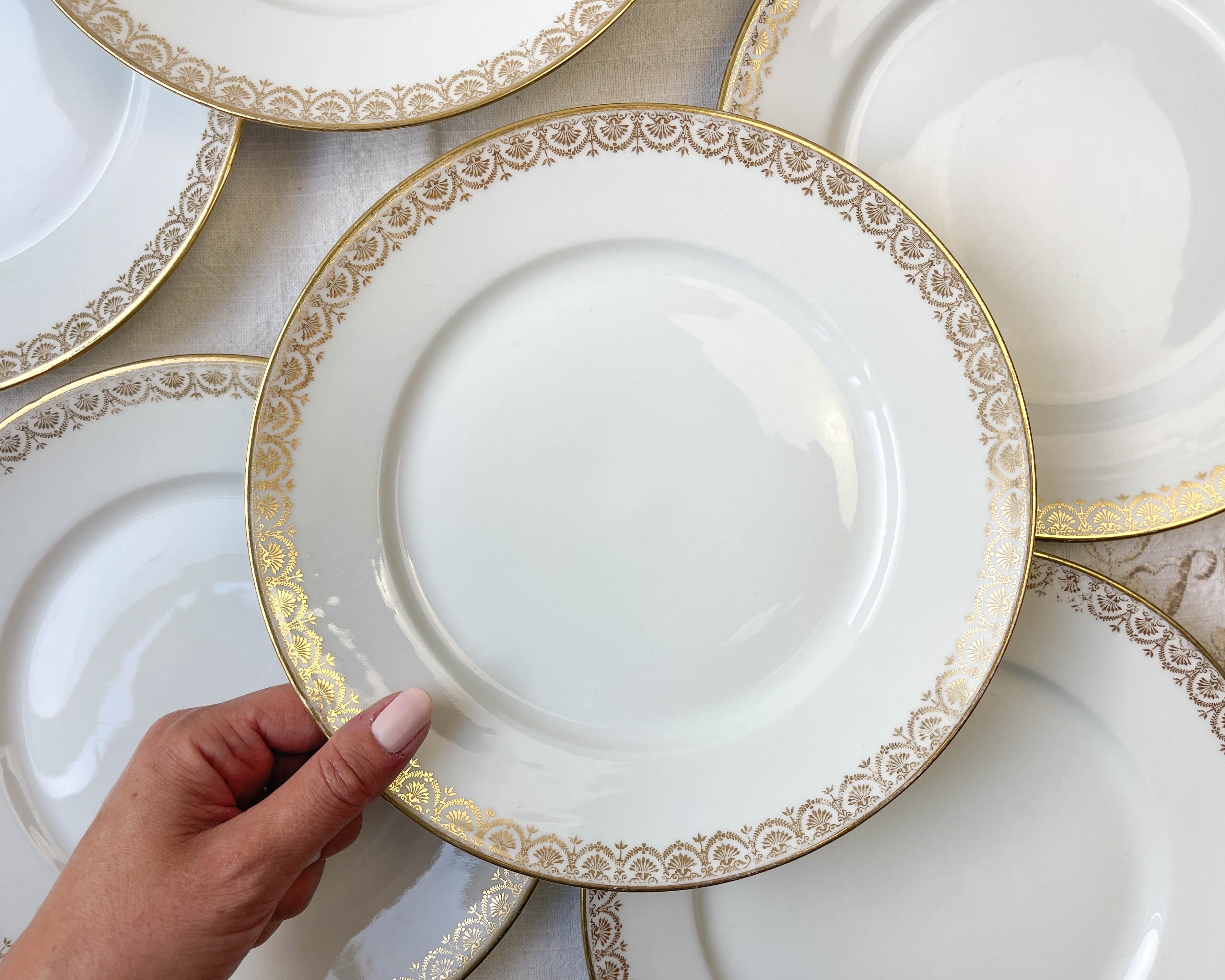 8 porcelain plates limoges w. guerin & cie blanche dorée