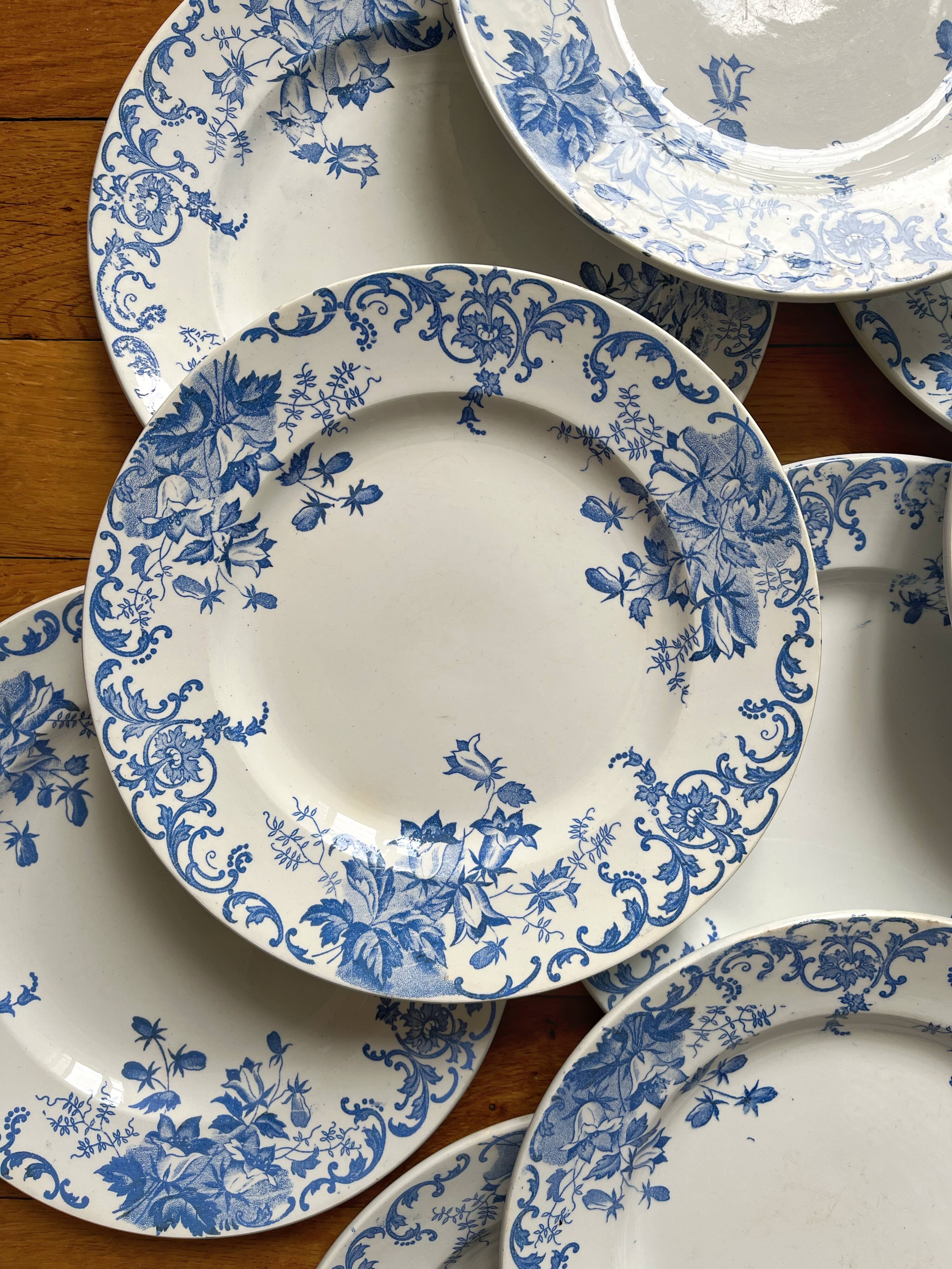 12 small flat plates "Campanule" Saint Amand and Hamage