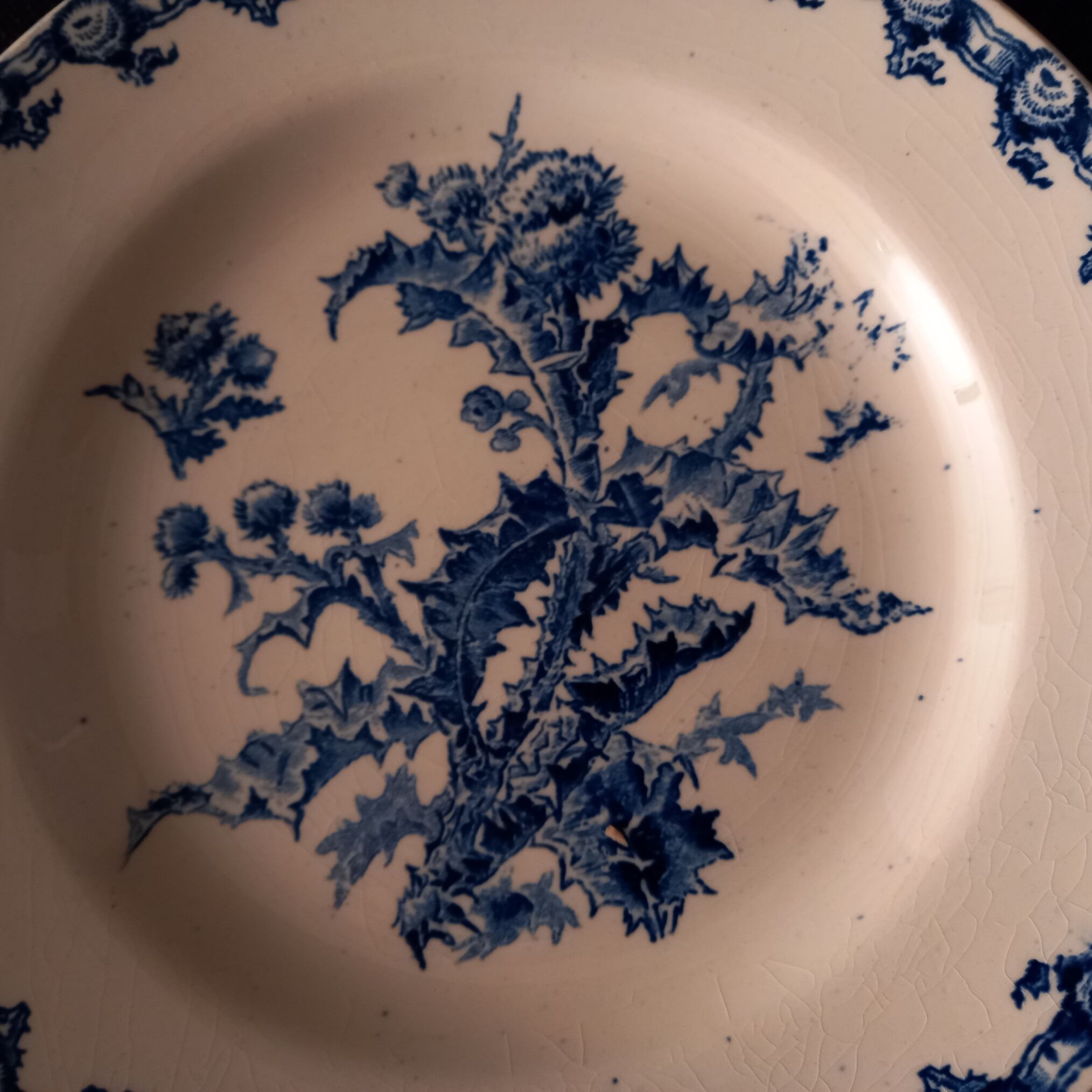 Plate Model thistles - Porcelain Opaque earthenware from Gien