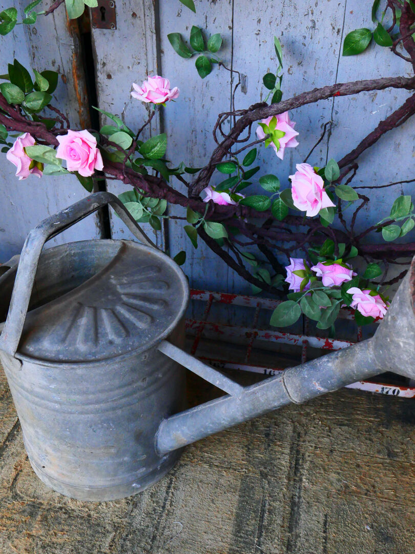 Zinc watering can ref 3