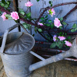 Zinc watering can ref 3