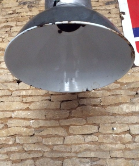 Plant 50 years old lamp