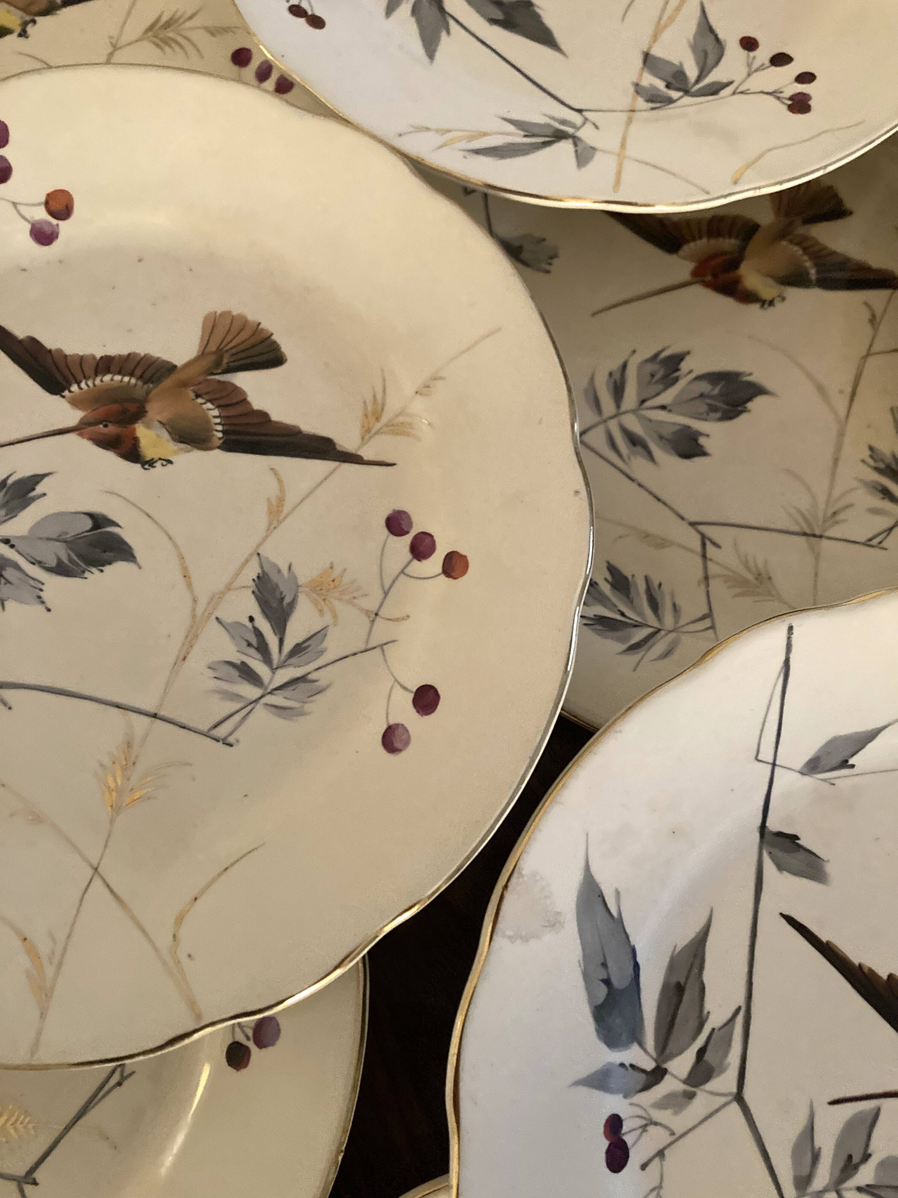 13 decorative plates with hummingbird design in fine earthenware by Mouzin Lecat, 19th century.
