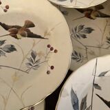 13 decorative plates with hummingbird design in fine earthenware by Mouzin Lecat, 19th century.