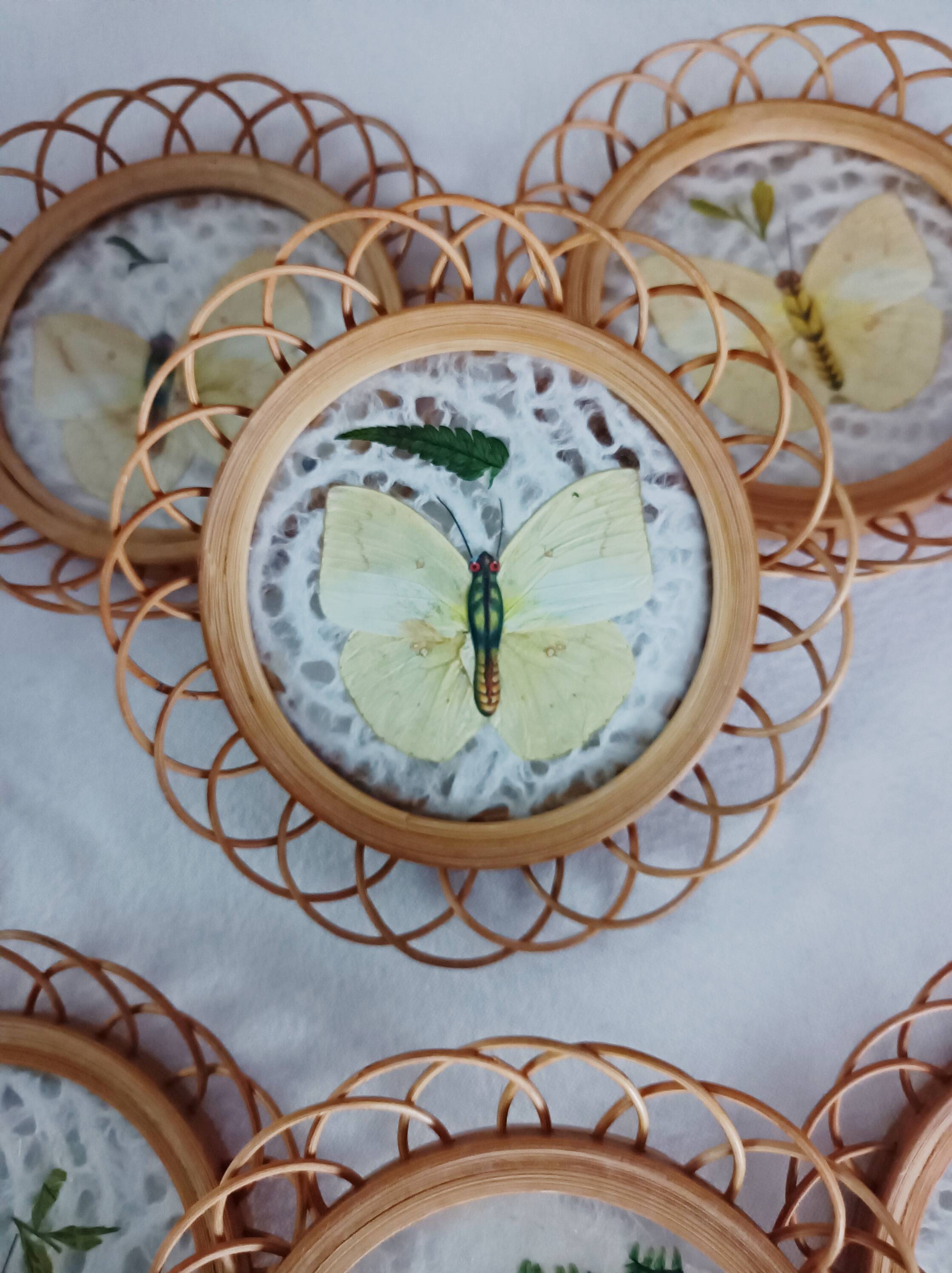 Set of 6 butterfly wicker coasters