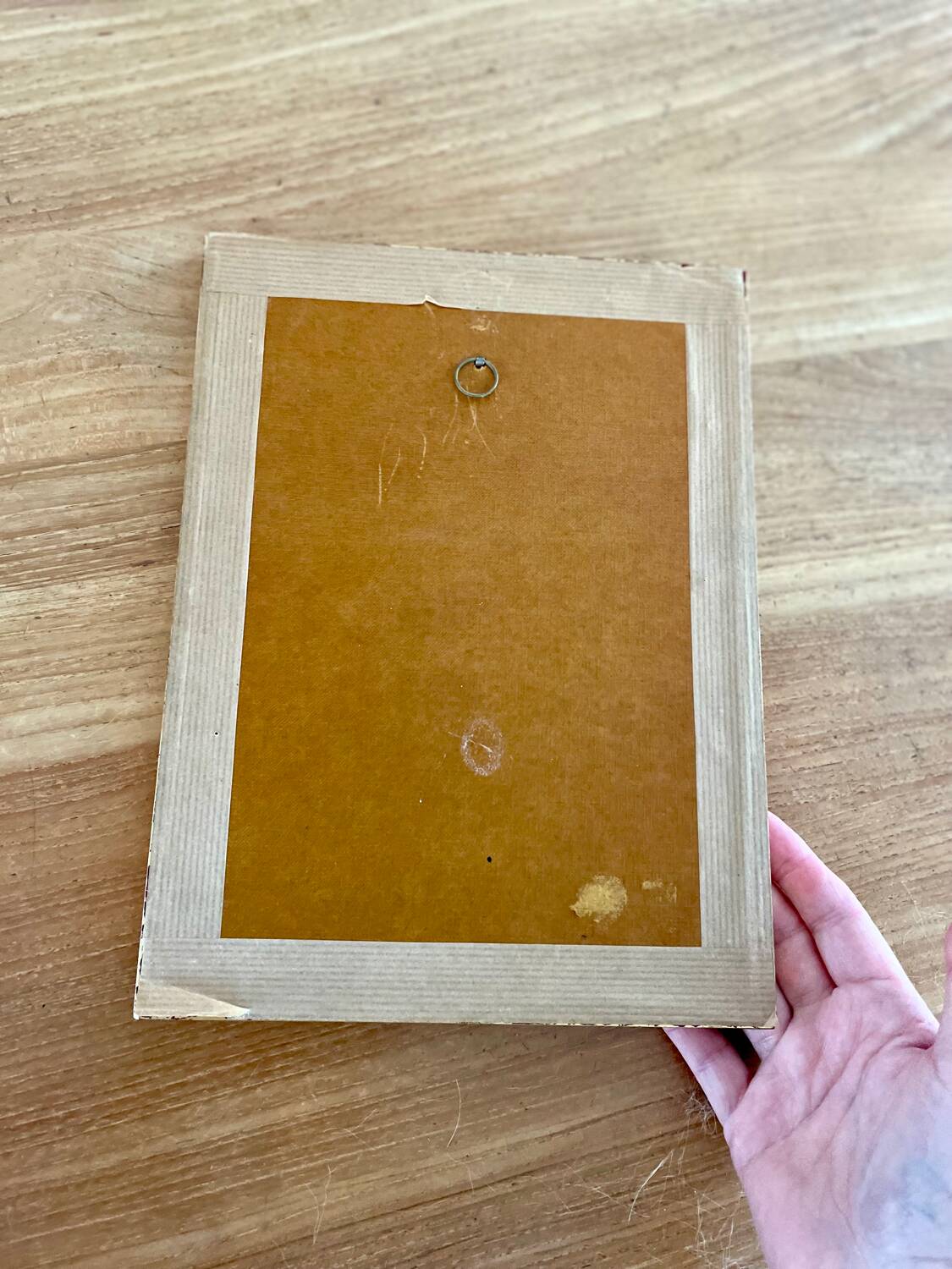 Birds lithograph frame after John Gould