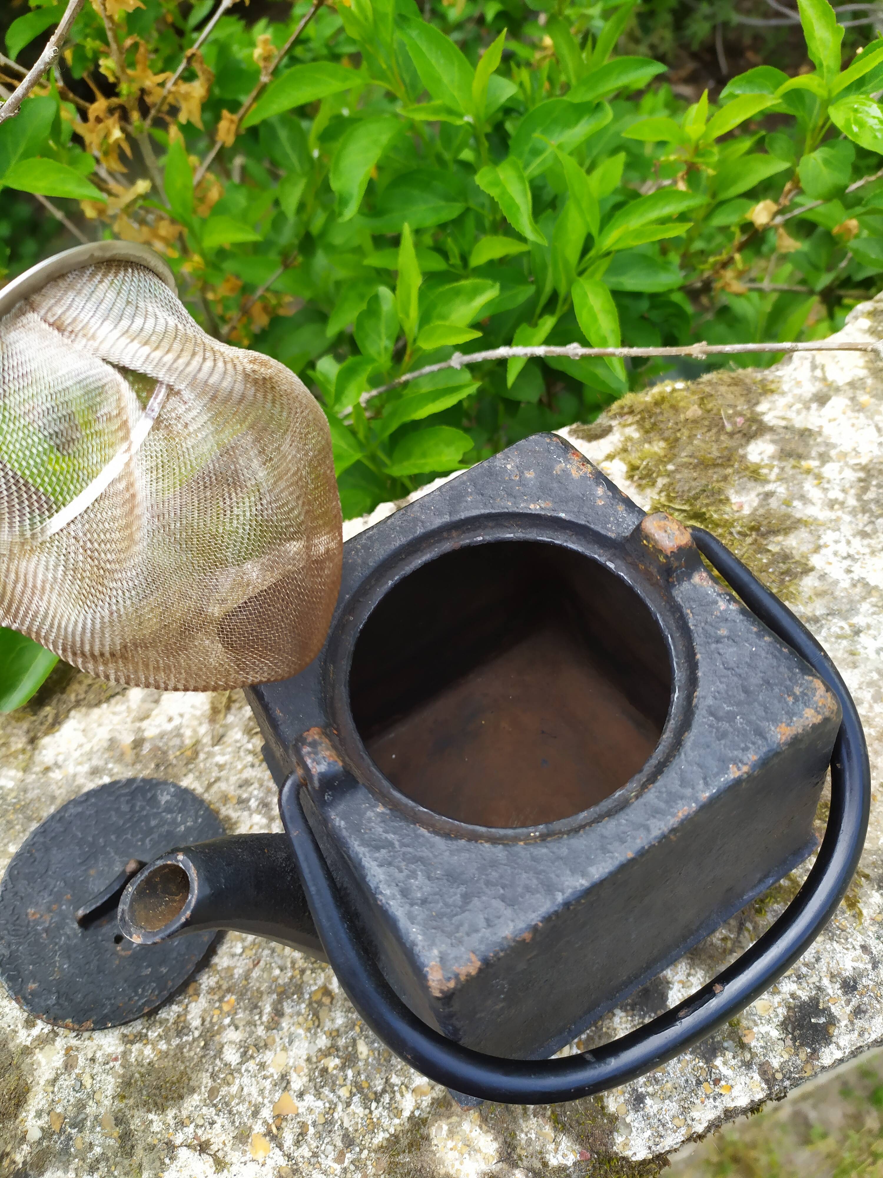 small cast iron teapot