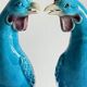 Pair of phenix birds chinese porcelain early 20th century