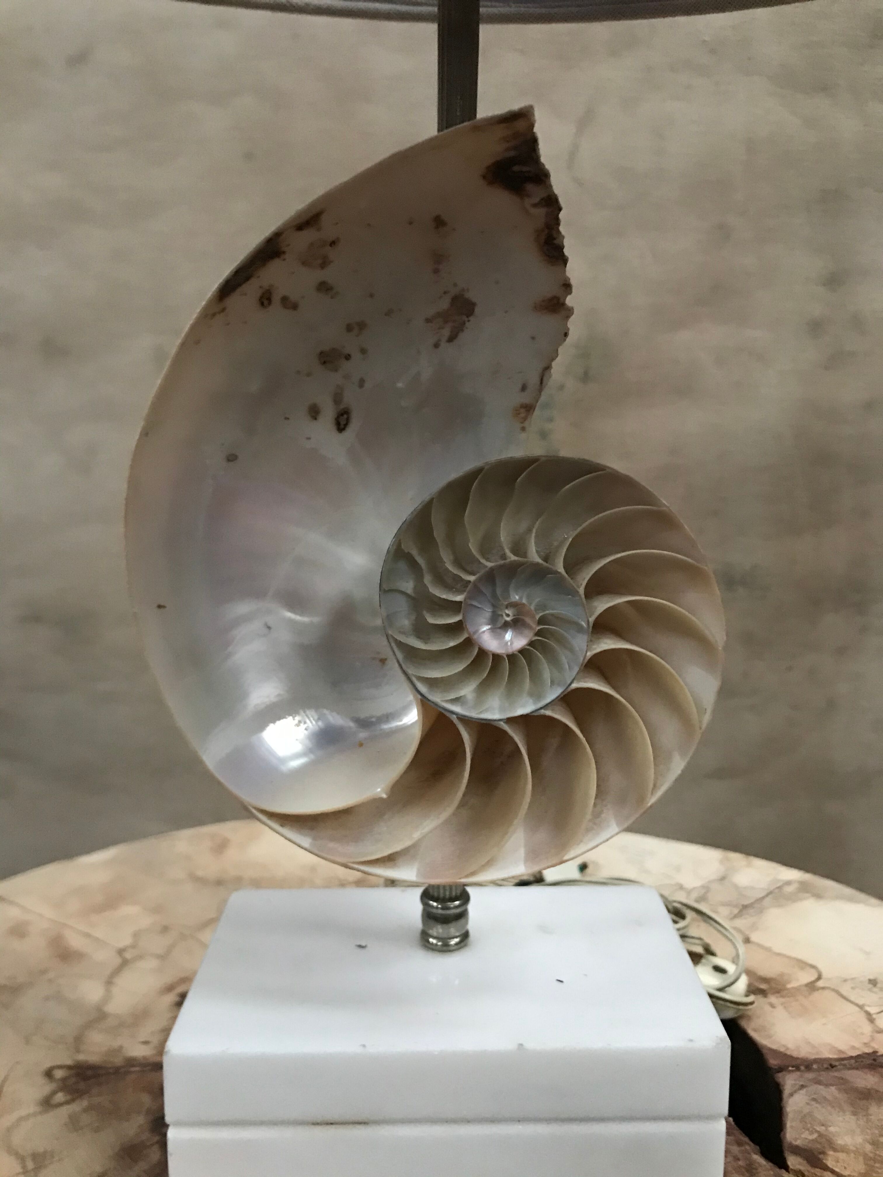 Vintage Nautile lay lamp