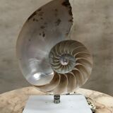 Vintage Nautile lay lamp