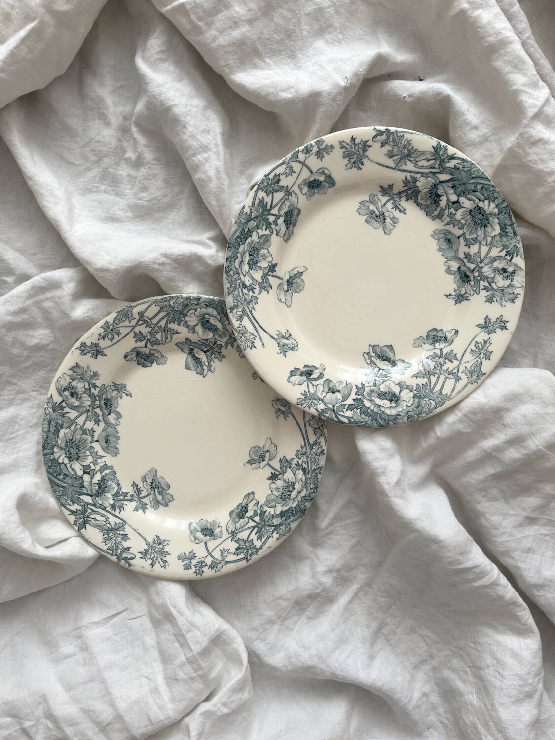 2 Gien "Anemones" ironstone dessert plates