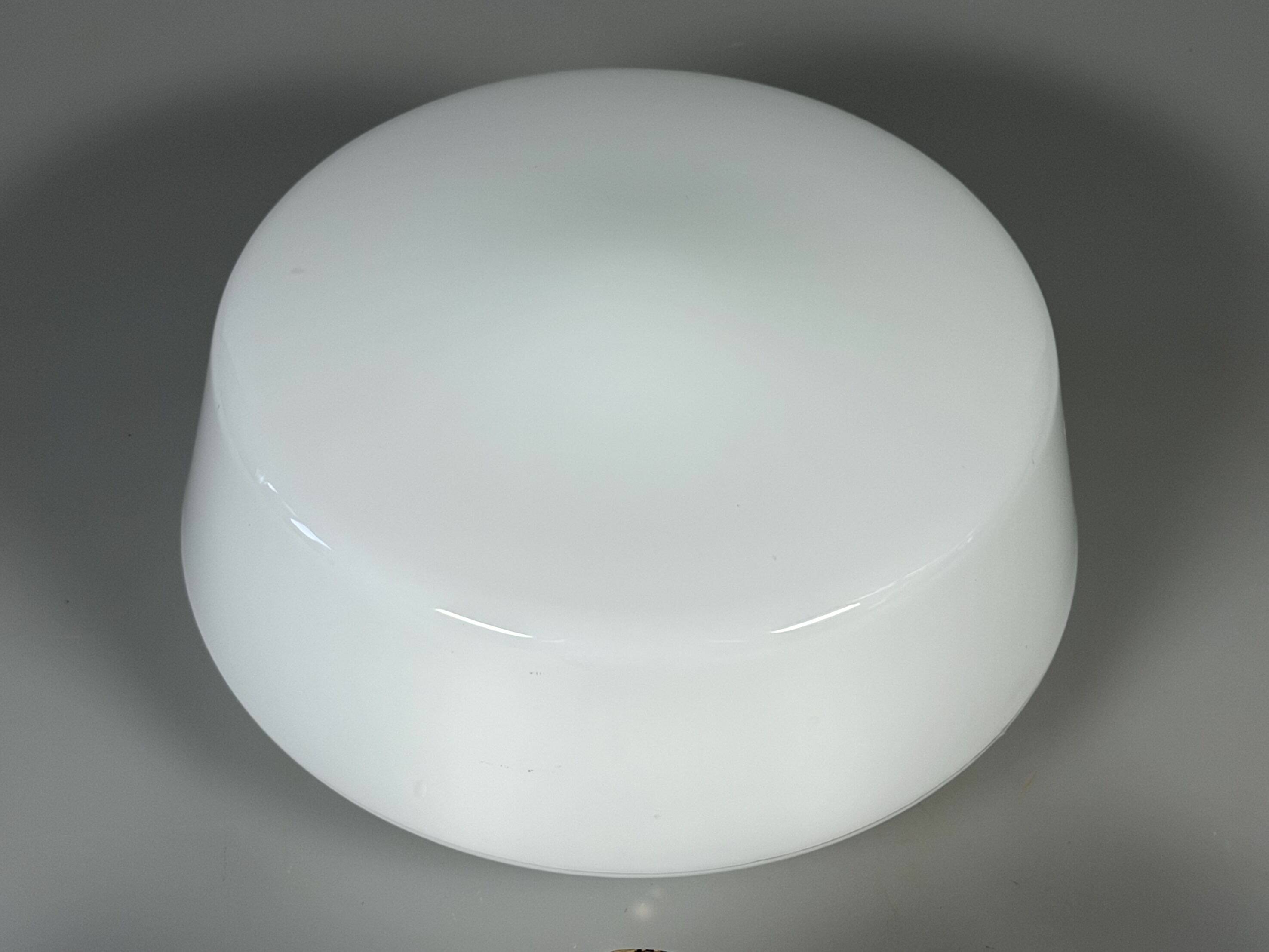 1950s 1960s Ceiling Light Flush Mount from RZB Leuchten Germany Mid Century