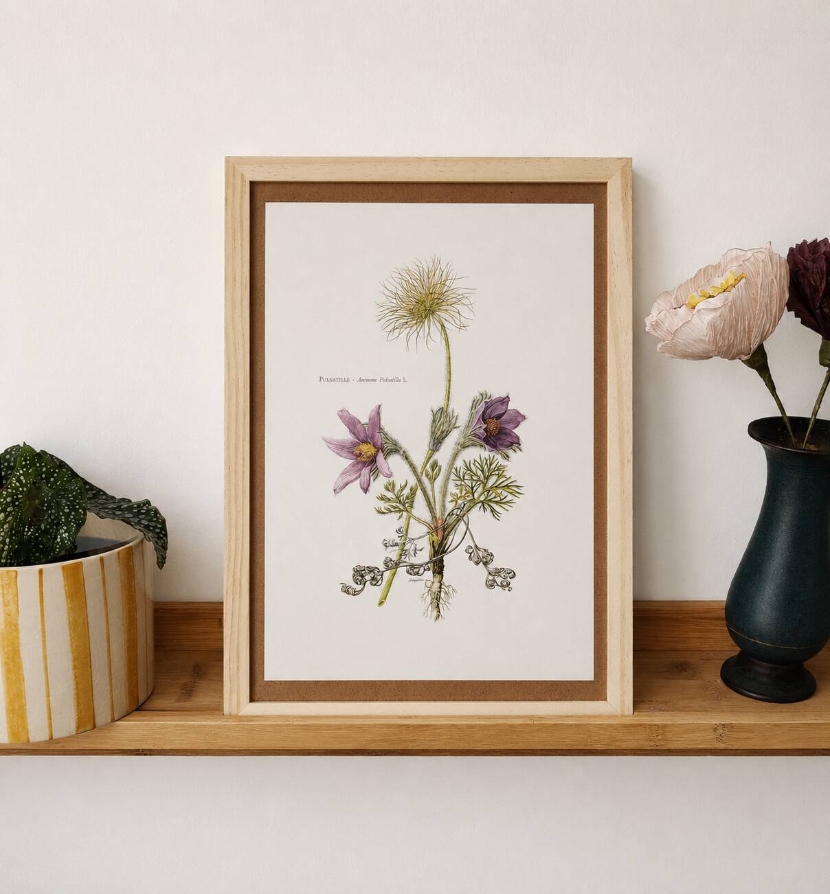 vintage botanical print framed from the 1950s