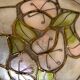 Applique nacre fleurie