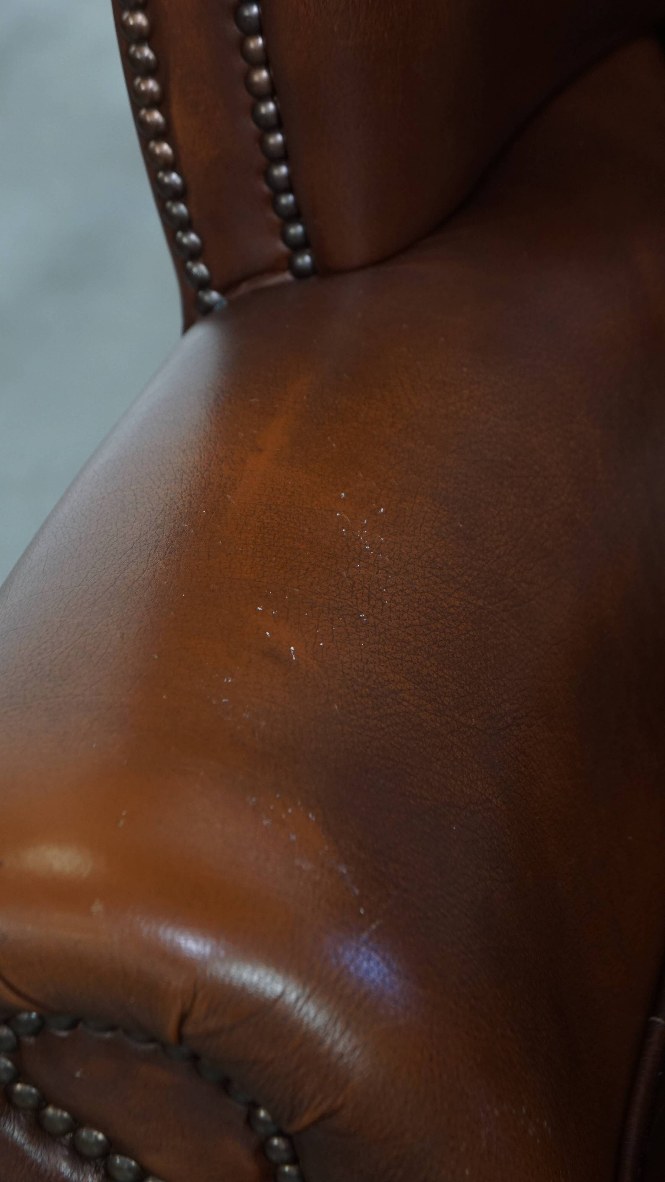 Chesterfield wing chair in dark brown English cowhide