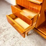 Library by František Mezuláník for UP Závody, 1970s