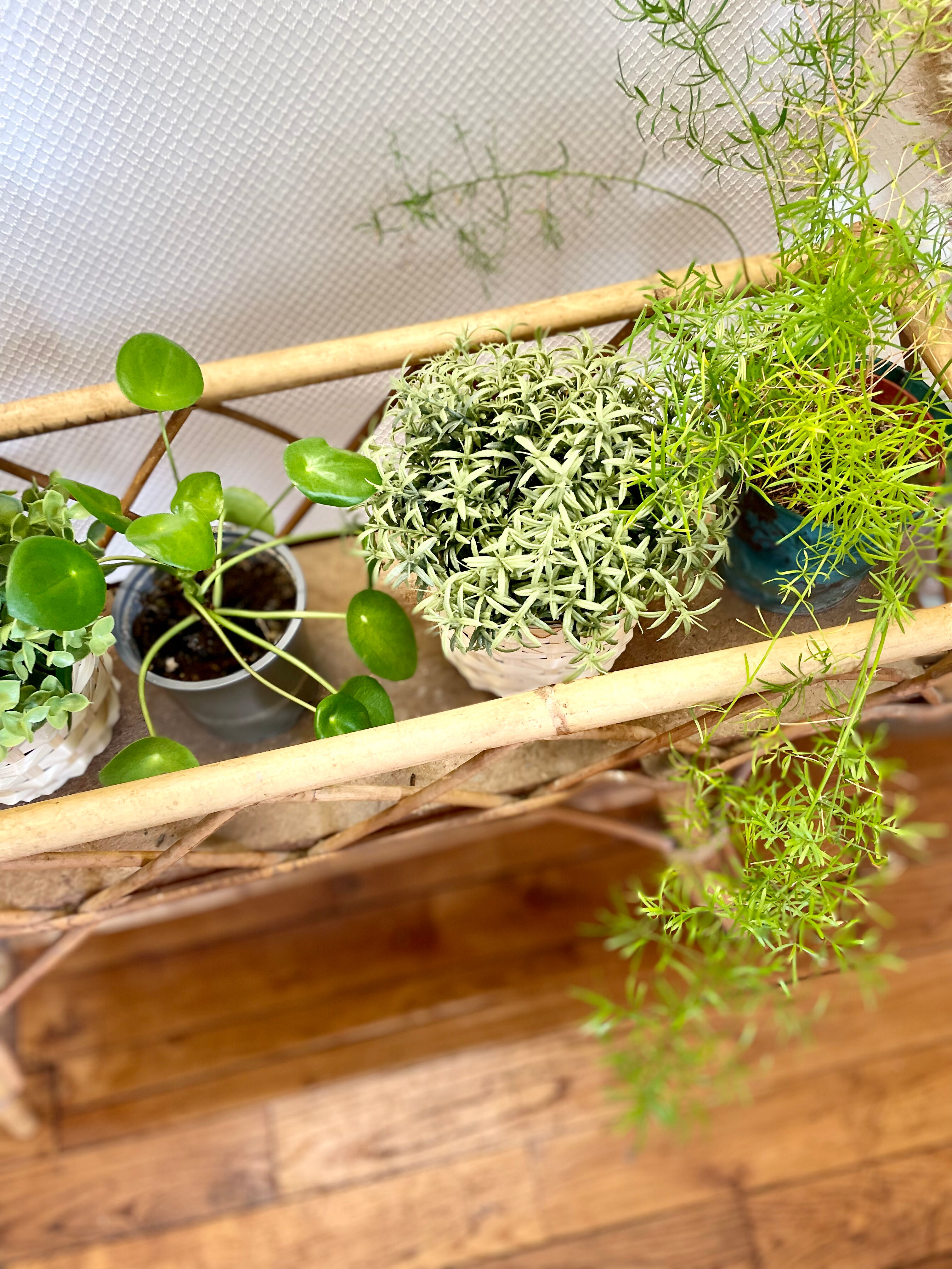 Vintage rattan planter