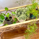 Vintage rattan planter