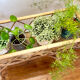 Jardinière en rotin vintage