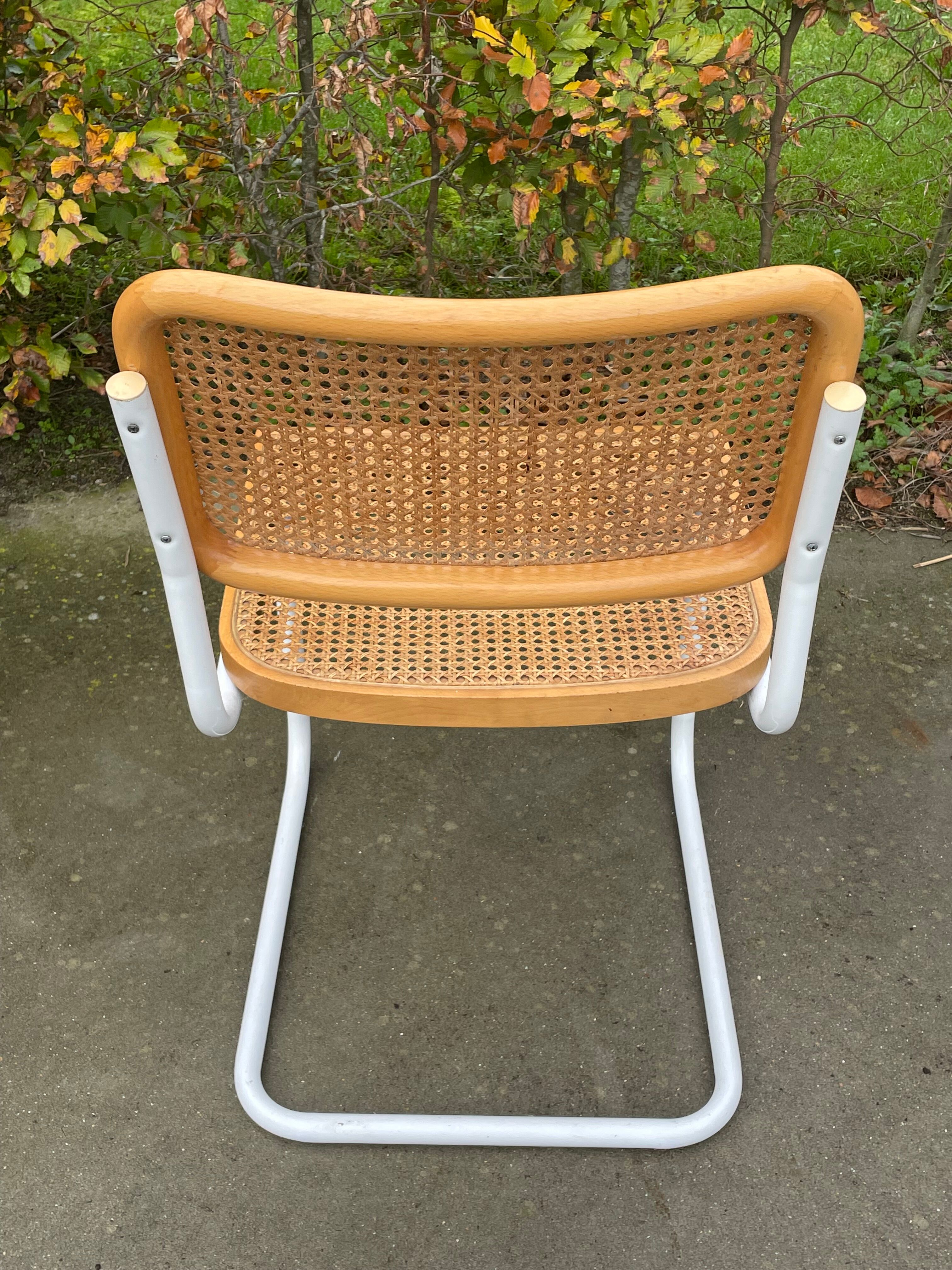 Cesca chair b32 model in white and wood by Marcel Breuer