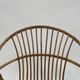 Vintage rattan chair by Dirk van Sliedregt Rohe Noordwolde 1960 in the Netherlands