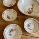 Dessert service or fruit salad in French porcelain