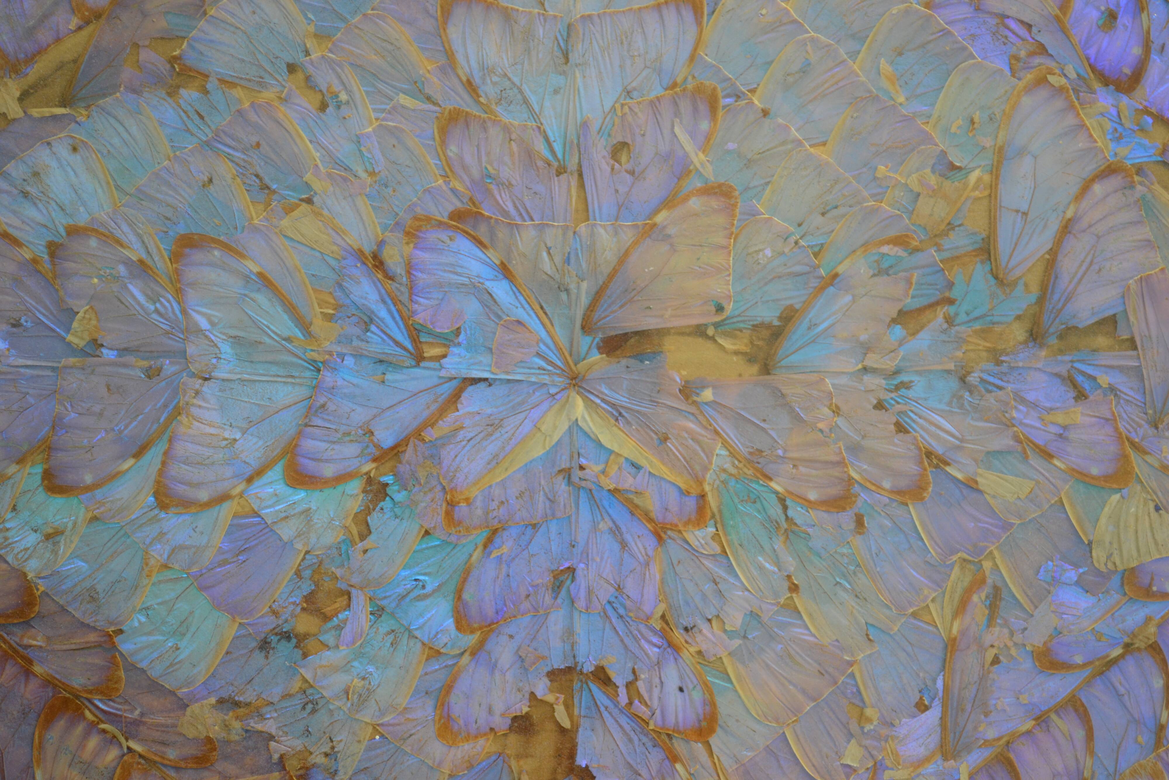 Plateau butterfly wings under glass exotic wood and marquetry Brazil