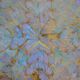 Plateau butterfly wings under glass exotic wood and marquetry Brazil