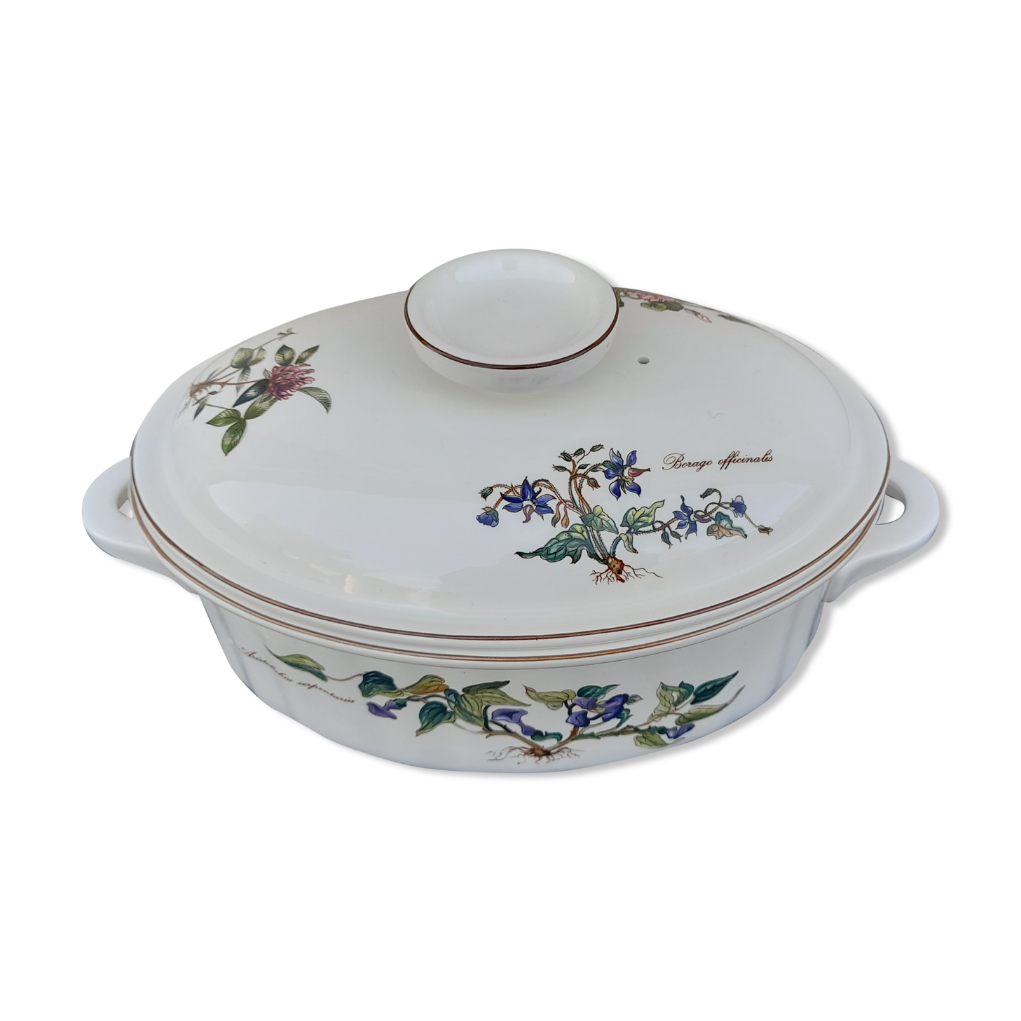 Oven dish Vilbofour Botanica porcelain fire L 34 cm Villeroy & Boch