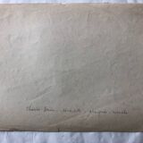 Zoological school poster representing the bat