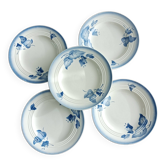 Lot de 5 assiettes à dessert, décor floral bleu