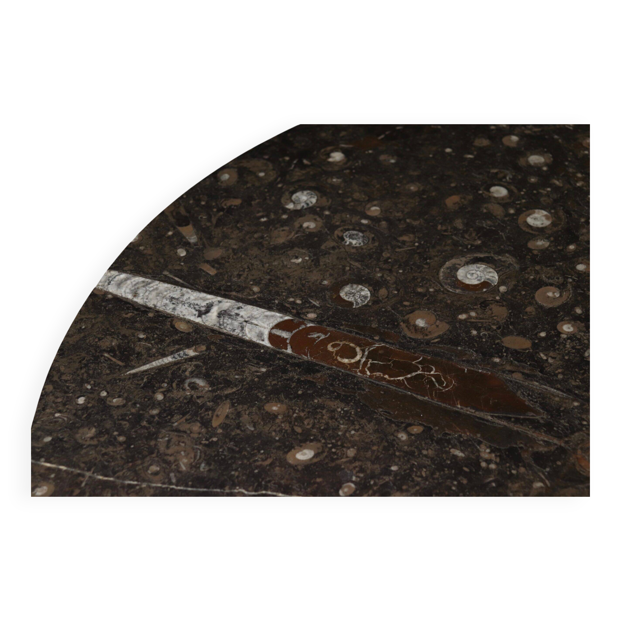 Coffee table with fossil limestone top by Metaform Holland, 1980s