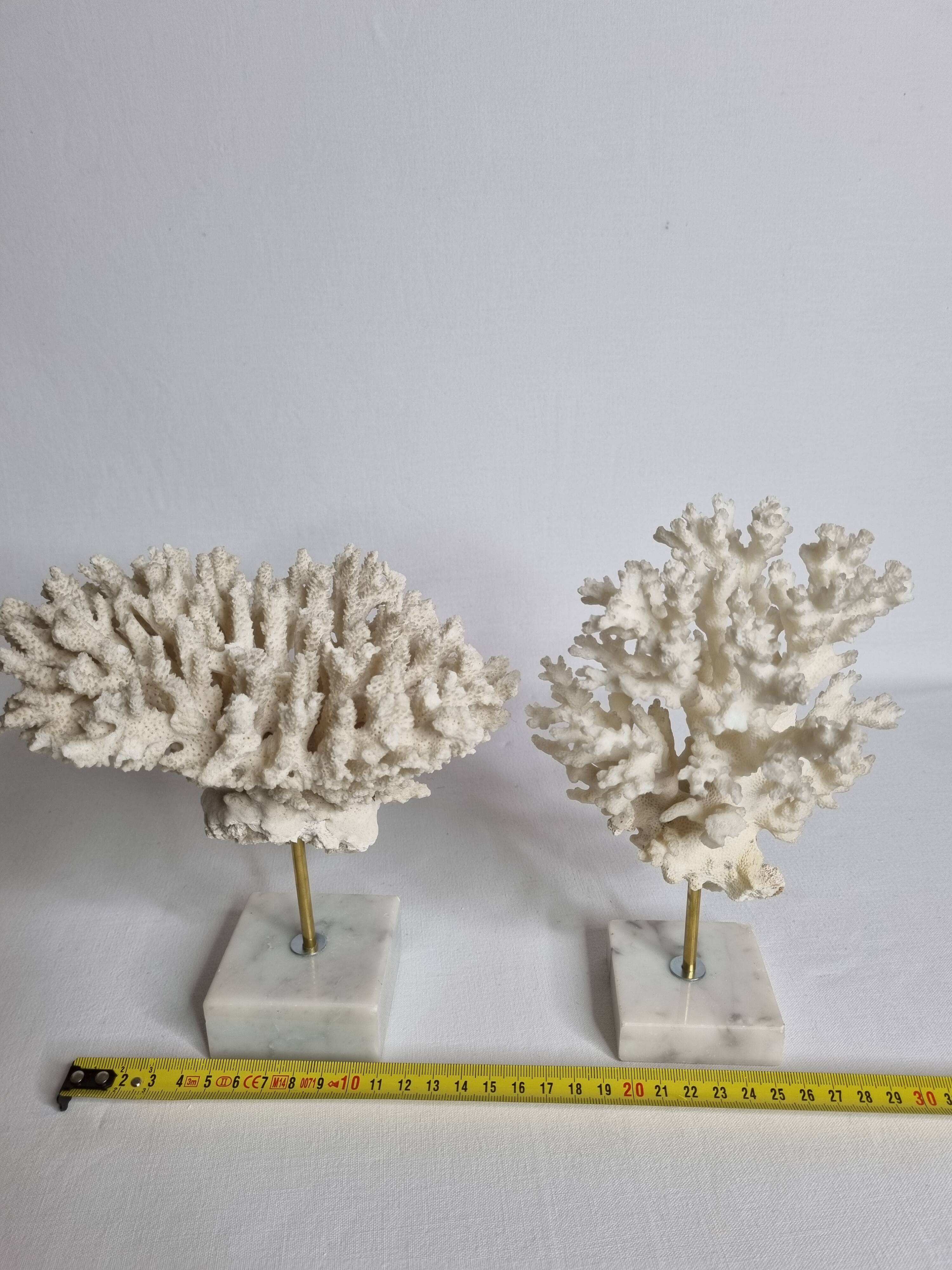 Set of four old white corals on marble base, 20 cm