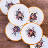 Service of 6 hollows Sarreguemines