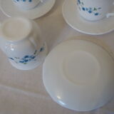 6 cups and saucers Arcopal Myosotis