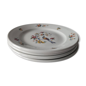 4 assiettes oiseaux de paradis, Sarreguemines