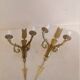 Ancienne paire d'appliques en bronze doré de style empire