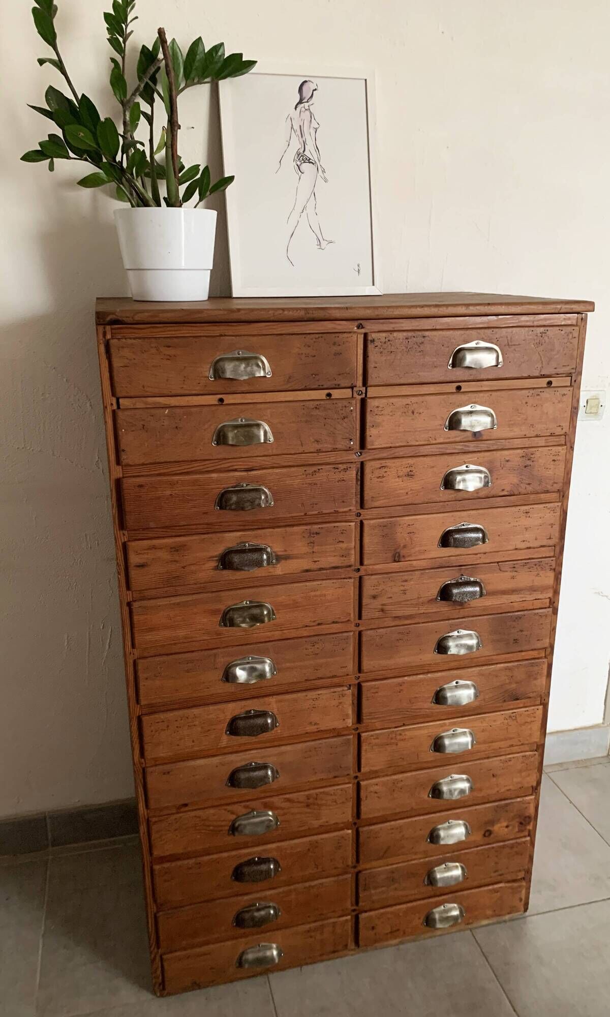 Old apothecary trade furniture in vintage wood 24 drawers.