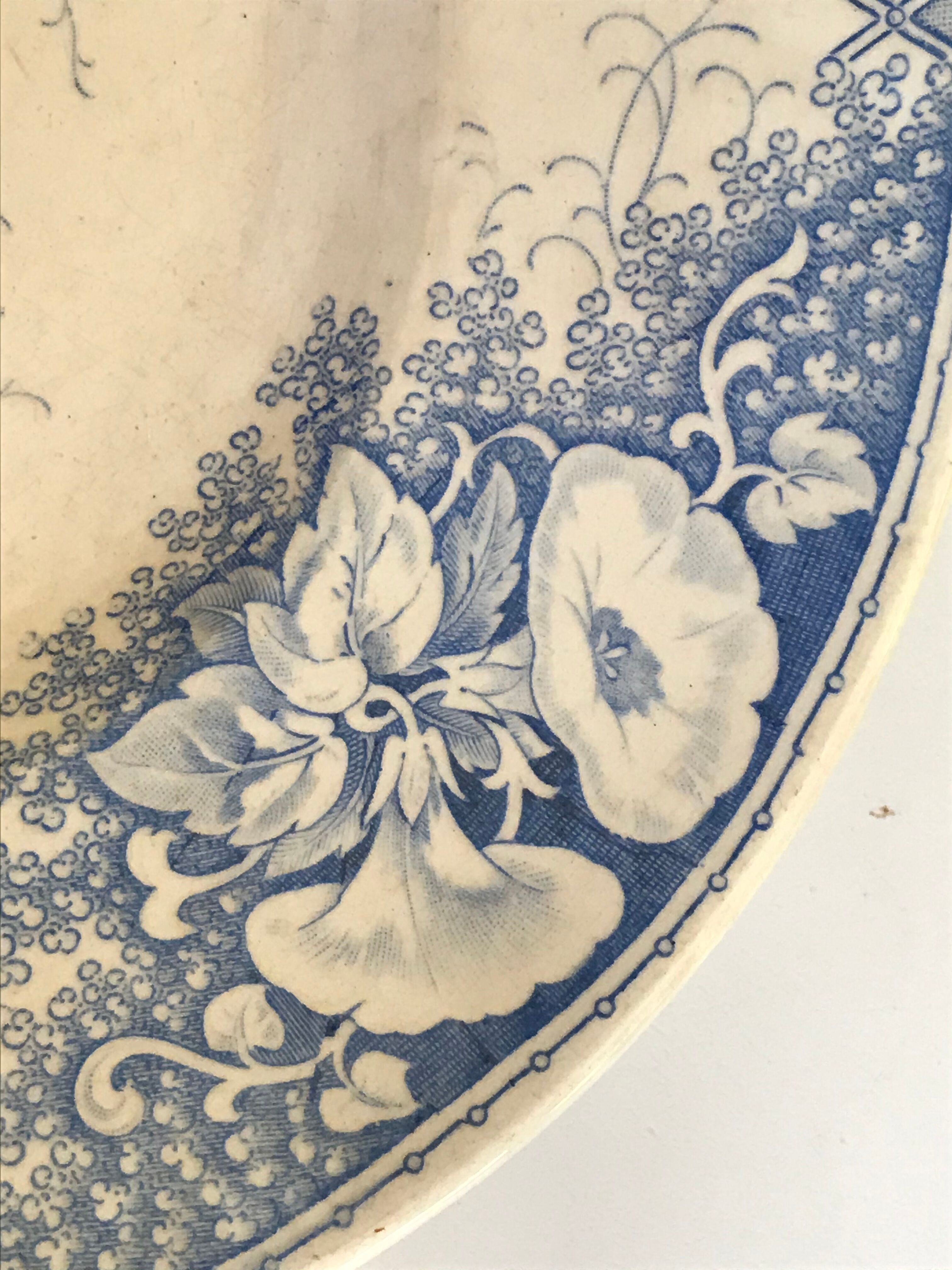 Old dish U-C Sarreguemines