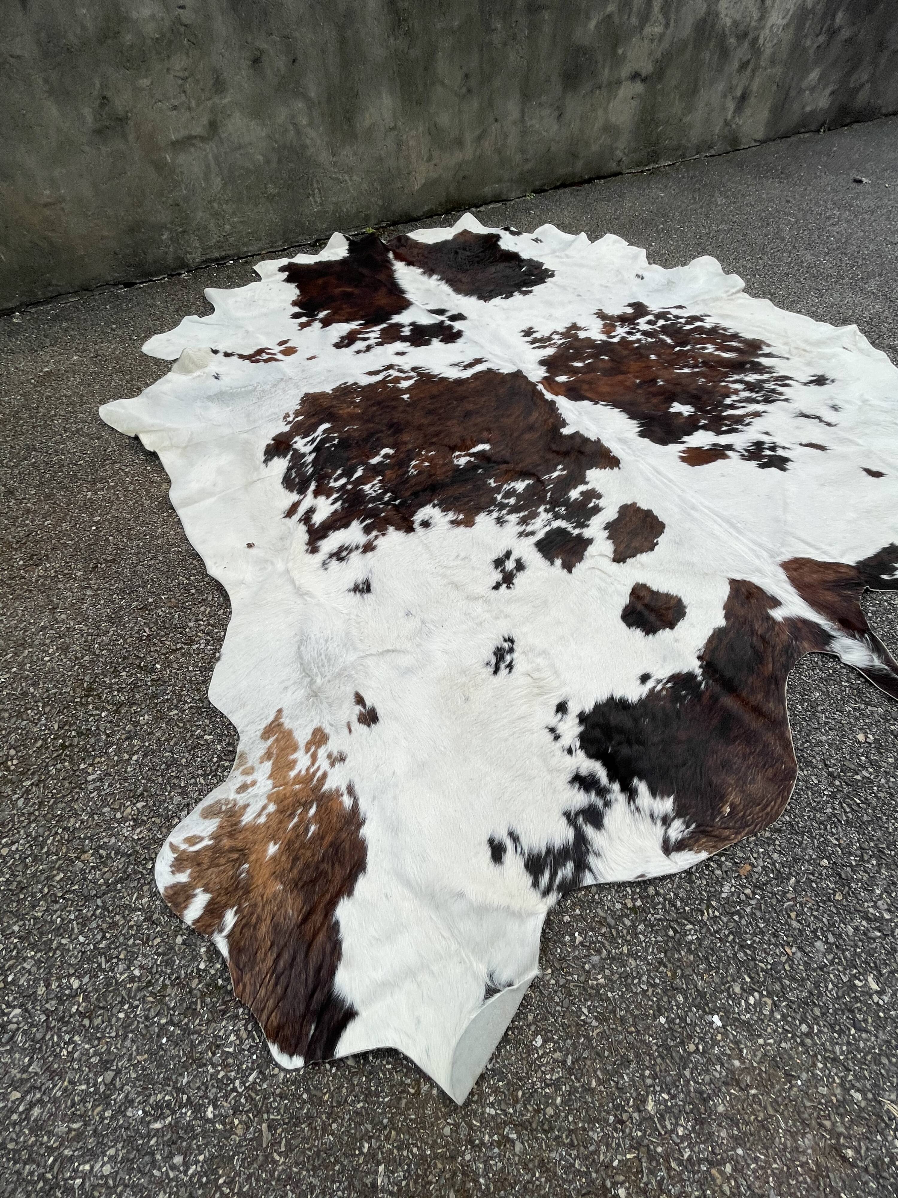 Cow skin