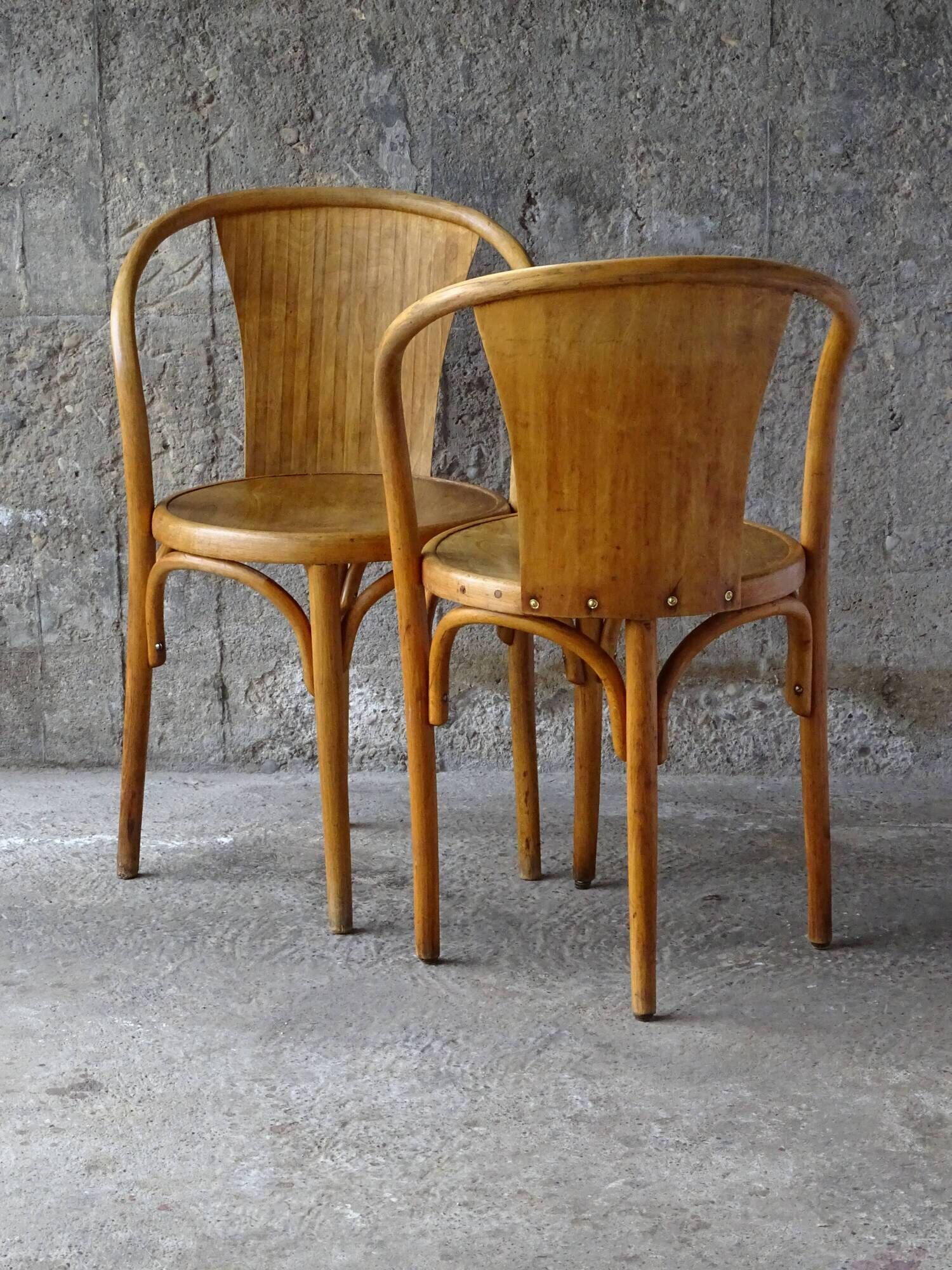 Pair of bistrot wood-curved armchairs fischel n ° 15 e 1930